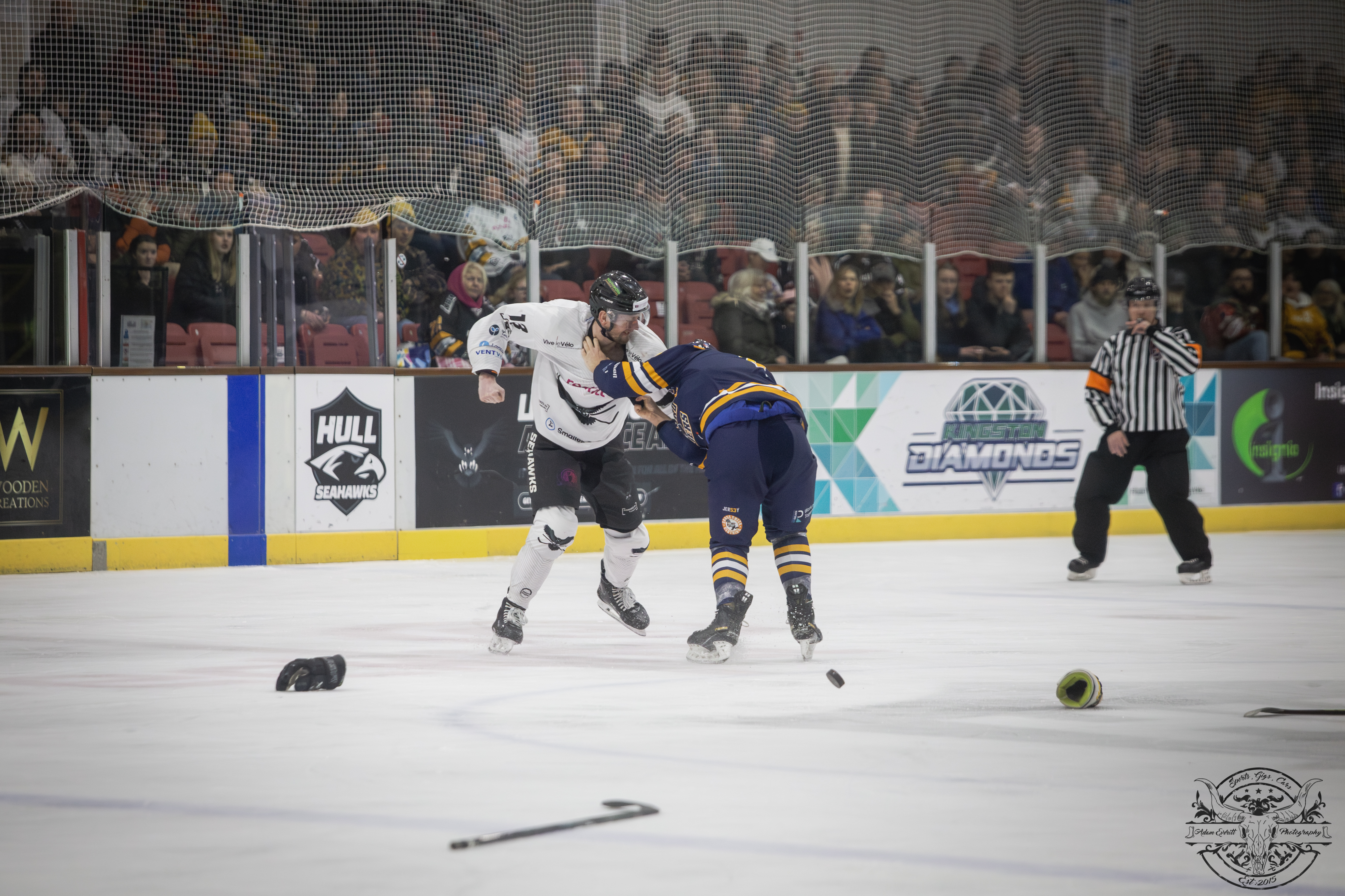 Hull Seahawks (@hullseahawks) profile image